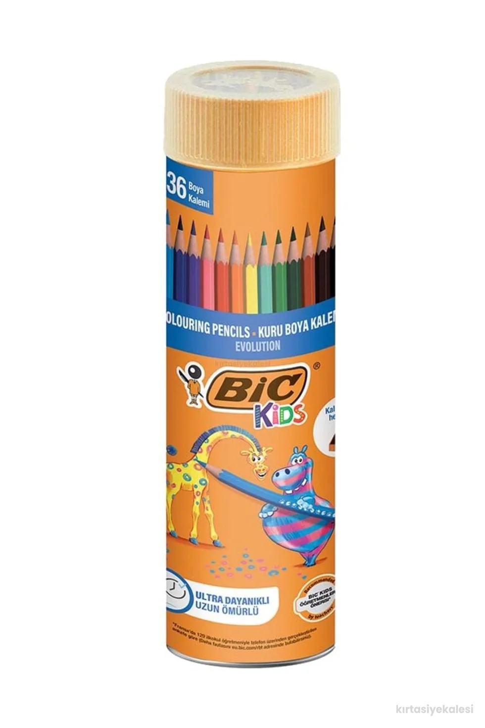 Bic Evolution Kuru Boya Kalemi 36 Renk Metal Tüp 968491