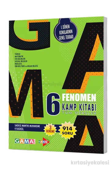 Fenomen Okul 6. Sınıf Fenomen Tüm Dersler Kamp Kitabı (1. Dönem)
